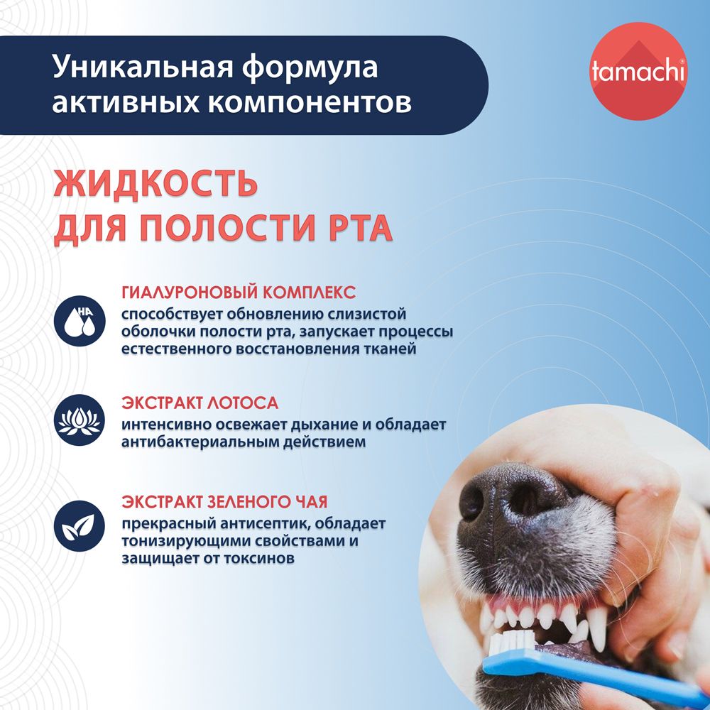 Tamachi Тамачи жидкость для полости рта, 100 мл