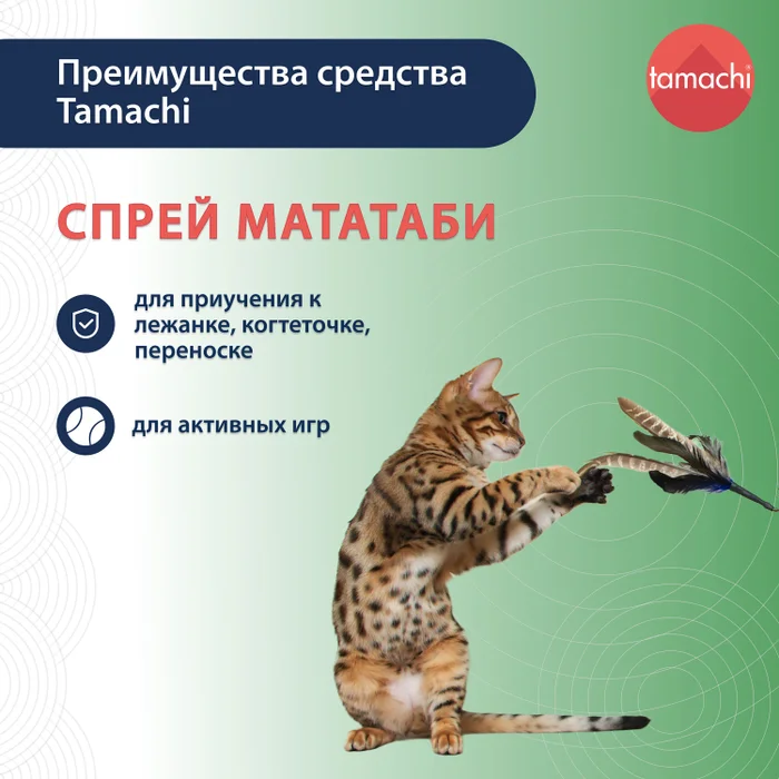 Тамачи спрей для приручения к предметам, 125 мл