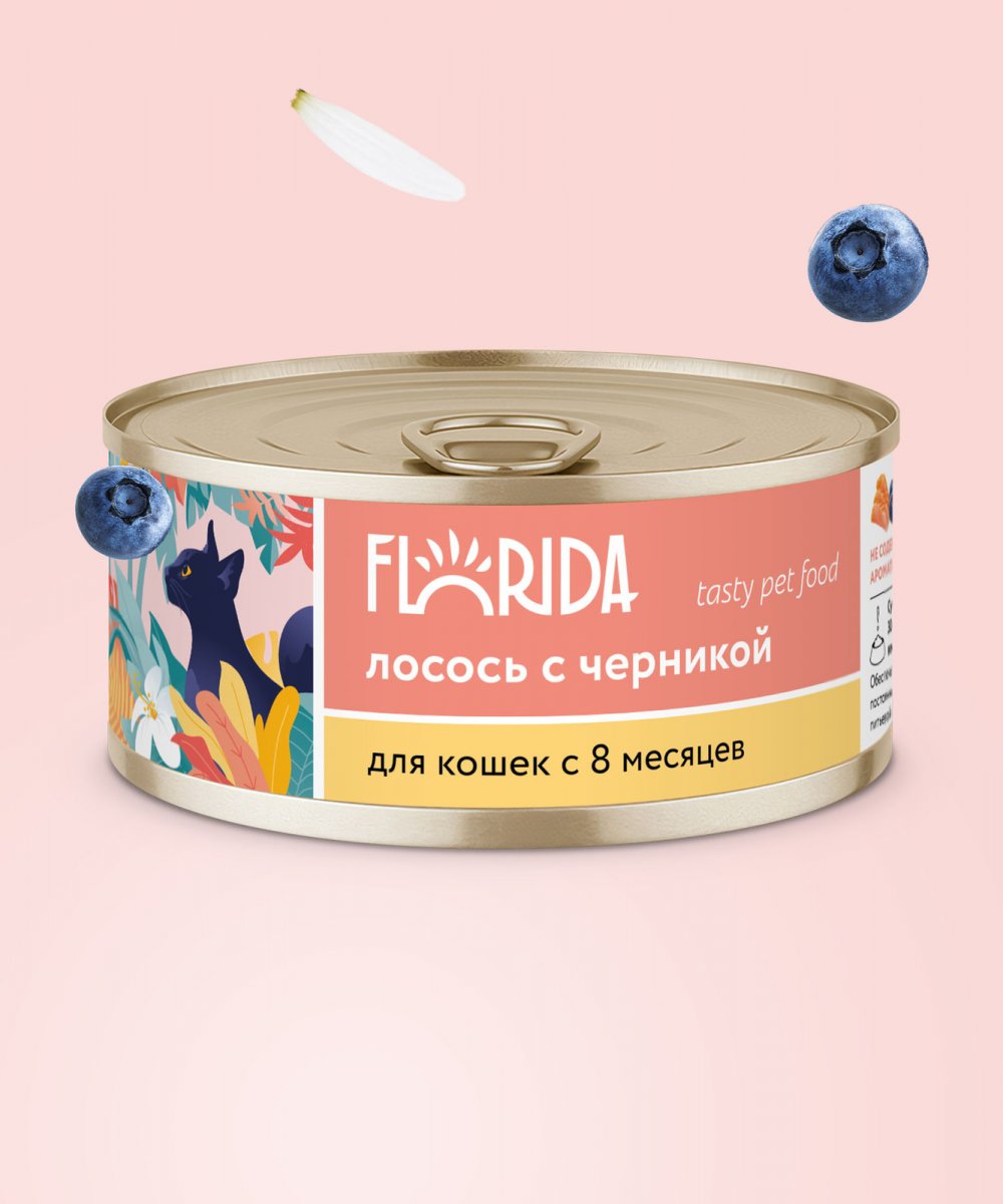 FLORIDA Флорида Консервы для  кошек Лосось с черникой, 100г