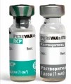 Вакцина Purevax RCP Пуревакс РСП, 1 доза
