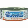Farmina VetLife Convalescence Фармина Конваленсе д/кошек, консервы 85г